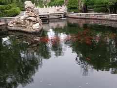 -荣国府