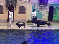 -台州海洋世界