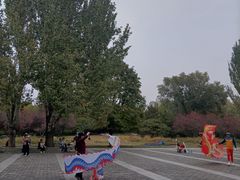 -丰台花园