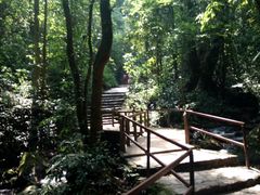 -莫里热带雨林景区