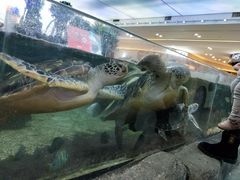 -鸿通城购物中心