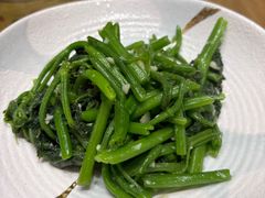 -阿巧茶庄