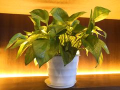 -谷田稻香·砂锅菜(元洪店)