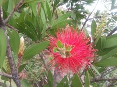 android_upload_pic-广州神农草堂中医药博物馆