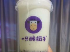 -一只酸奶牛(八一路店)