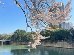 -成都市活水公园