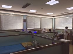 点击看大图 -痘博士广州·全国连锁祛痘机构