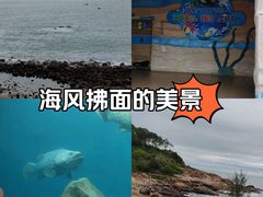 -广东惠东海龟国家级自然保护区