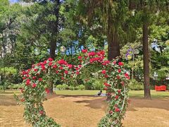 -人民公园(罗湖区)