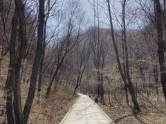 -关门山森林公园