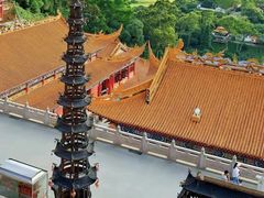 -东莞市大岭山森林公园