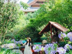 -七彩云南古滇温泉山庄