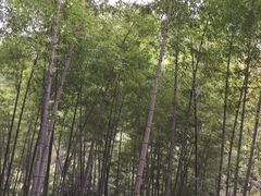 -溪口-滕头旅游景区