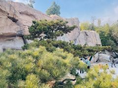 -牛首山文化旅游区