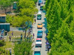 -嘉北郊野公园