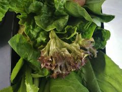 -马家斑.鲜鱼火锅(松湖万科店)