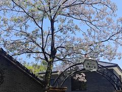 -莫干山风景区