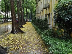 -暨南大学教育学院