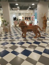 -宝贝天空儿童摄影(花溪店)