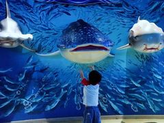 -烟台海昌鲸鲨海洋公园