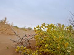 -亿利库布其七星湖沙漠生态旅游区