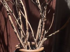 -都氏家DUSJOY(翡翠城店)