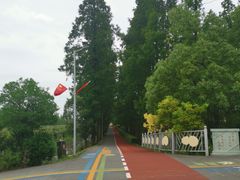 -上海长兴岛郊野公园