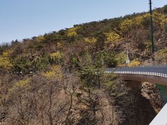 -棒棰岛宾馆景区