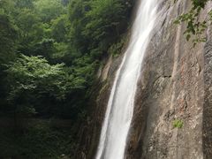 -陕西省红河谷森林公园