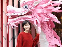 -溪岸路花鸟市场