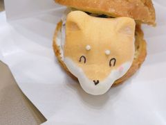 -逗柴咖啡屋·狗咖猫咖宠物桌游