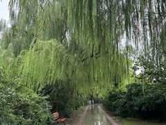 -南翠屏公园