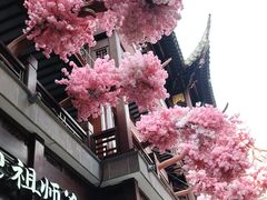 -Peet's Coffee皮爷咖啡(豫园店)