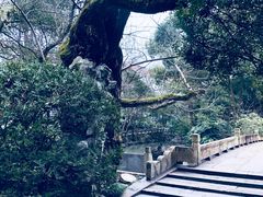 -汇龙潭
