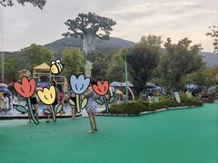 -苏州乐园森林水世界