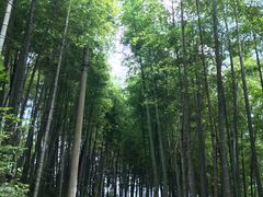 -径山寺