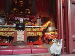 -司徒庙