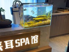 -耳妃躺式采耳SPA馆