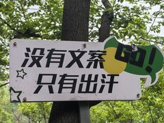 -嵖岈山风景区