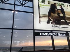 -米兰马尔彭萨国际机场