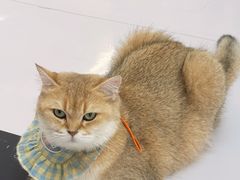 -昆山招商花园城