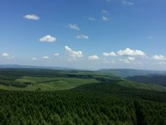 -塞罕坝国家级自然保护区