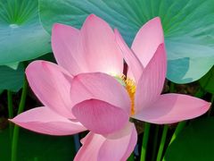 -白渔泡湿地公园