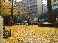 -成都市活水公园