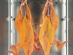 -侍兔·炭烧料理(滨江金融中心店)