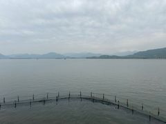 -湖畔居茶楼(湖滨店)