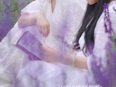 -紫颐香薰山谷景区