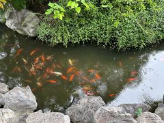 -南京市民俗博物馆(甘熙故居)