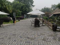 -老房子金沙元年川菜食府·花园餐厅(金沙店)
