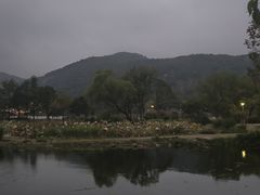 -长广溪湿地公园